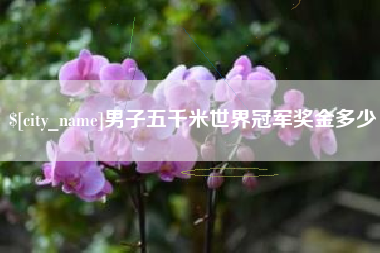 阳春男子五千米世界冠军奖金多少