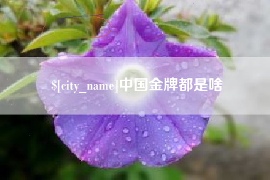 阳春中国金牌都是啥