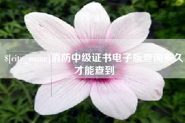 阳春消防中级证书电子版查询多久才能查到