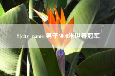 阳春男子5000米世界冠军