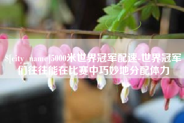 阳春5000米世界冠军配速-世界冠军们往往能在比赛中巧妙地分配体力