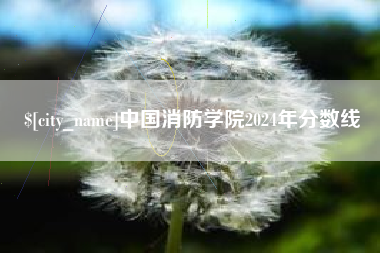 阳春中国消防学院2024年分数线