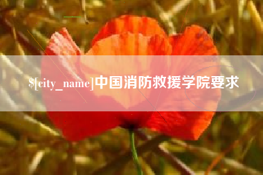 阳春中国消防救援学院要求