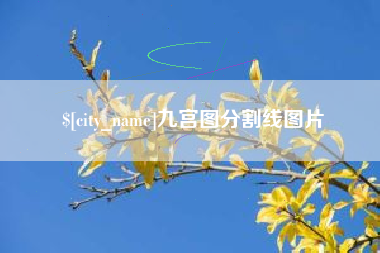 阳春九宫图分割线图片