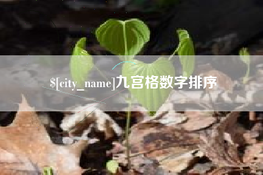 阳春九宫格数字排序