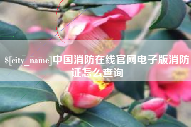 阳春中国消防在线官网电子版消防证怎么查询