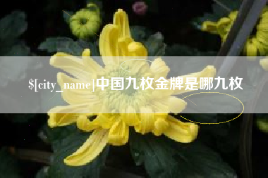 阳春中国九枚金牌是哪九枚
