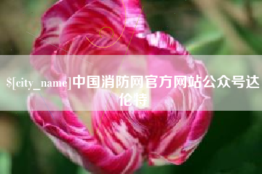 阳春中国消防网官方网站公众号达伦特