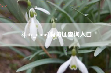 阳春消防证查询入口