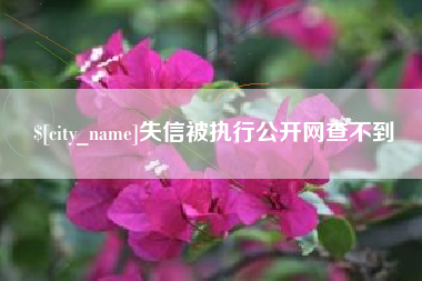 阳春失信被执行公开网查不到