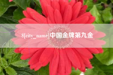 阳春中国金牌第九金