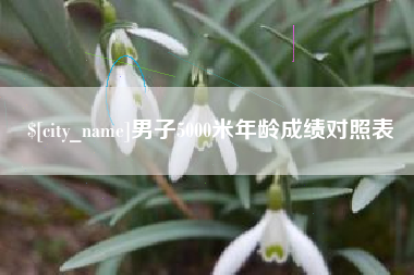 阳春男子5000米年龄成绩对照表