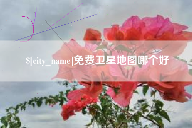 阳春免费卫星地图哪个好