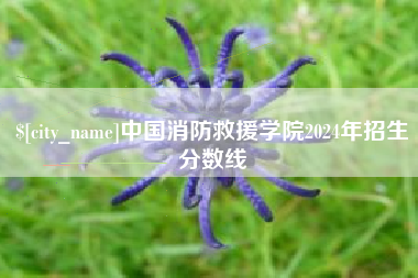 阳春中国消防救援学院2024年招生分数线
