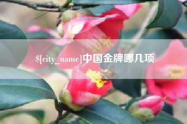 阳春中国金牌哪几项
