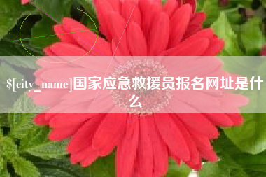 阳春国家应急救援员报名网址是什么