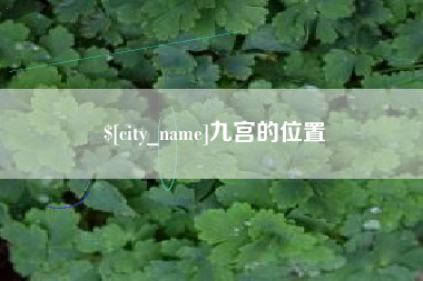 阳春九宫的位置