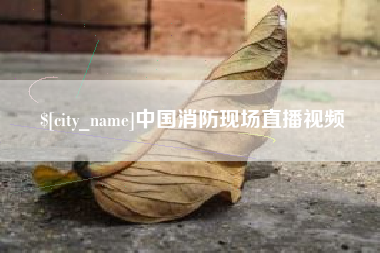 阳春中国消防现场直播视频