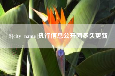 阳春执行信息公开网多久更新