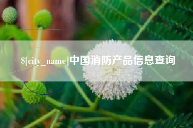 阳春中国消防产品信息查询