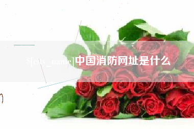 阳春中国消防网址是什么