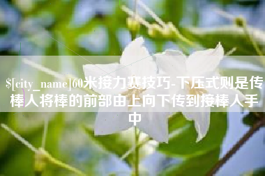 阳春60米接力赛技巧-下压式则是传棒人将棒的前部由上向下传到接棒人手中