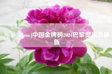 阳春中国金牌榜2024巴黎奥运会最新