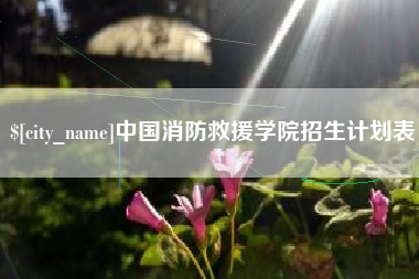 阳春中国消防救援学院招生计划表