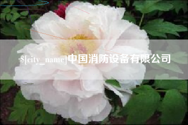 阳春中国消防设备有限公司