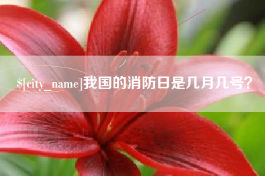 阳春我国的消防日是几月几号？