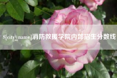 阳春消防救援学院内部招生分数线