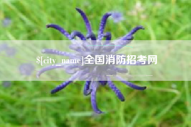 阳春全国消防招考网