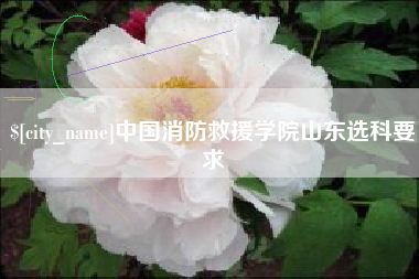 阳春中国消防救援学院山东选科要求
