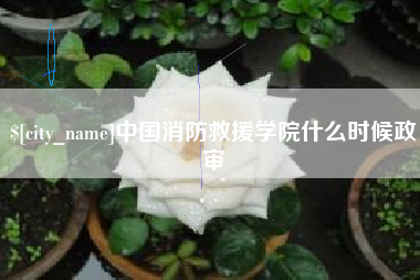 阳春中国消防救援学院什么时候政审