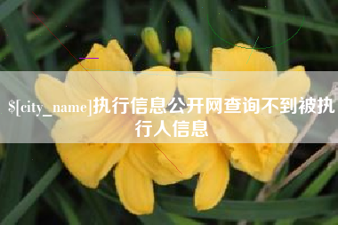 阳春执行信息公开网查询不到被执行人信息