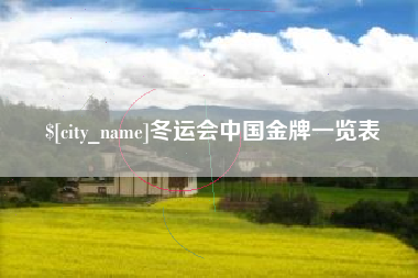 阳春冬运会中国金牌一览表
