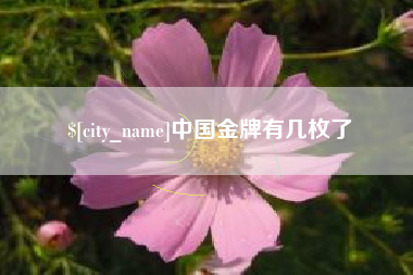 阳春中国金牌有几枚了
