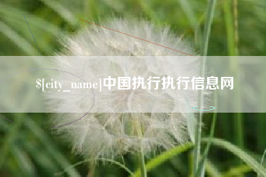 阳春中国执行执行信息网