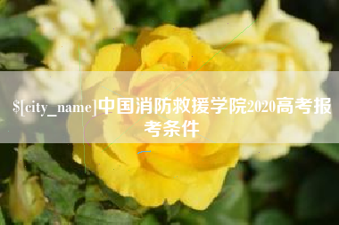 阳春中国消防救援学院2020高考报考条件