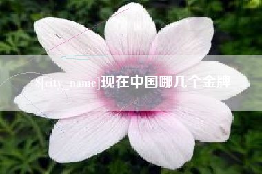 阳春现在中国哪几个金牌