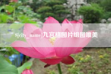 阳春九宫格图片组图唯美