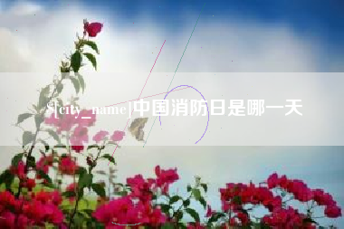 阳春中国消防日是哪一天