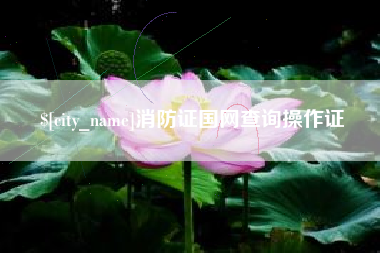阳春消防证国网查询操作证