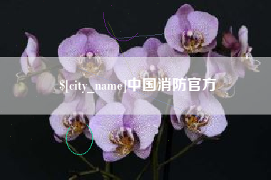 阳春中国消防官方