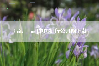 阳春中国执行公开网下载