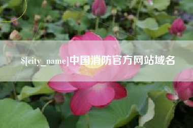 阳春中国消防官方网站域名