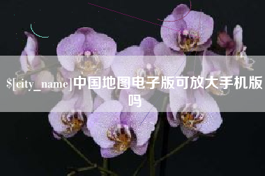 阳春中国地图电子版可放大手机版吗