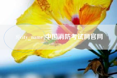 阳春中国消防考试网官网