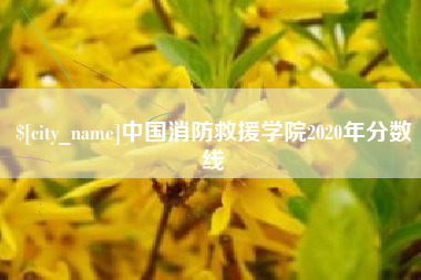 阳春中国消防救援学院2020年分数线