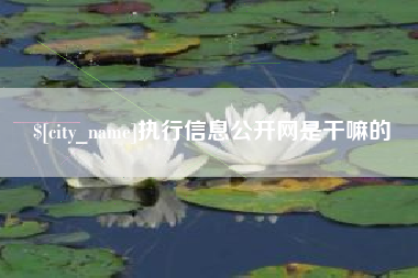 阳春执行信息公开网是干嘛的